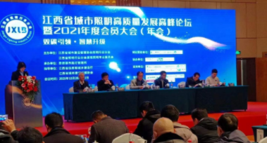 开元网站登录入口电保受邀参加江西省城市照明高质量发展高峰论坛