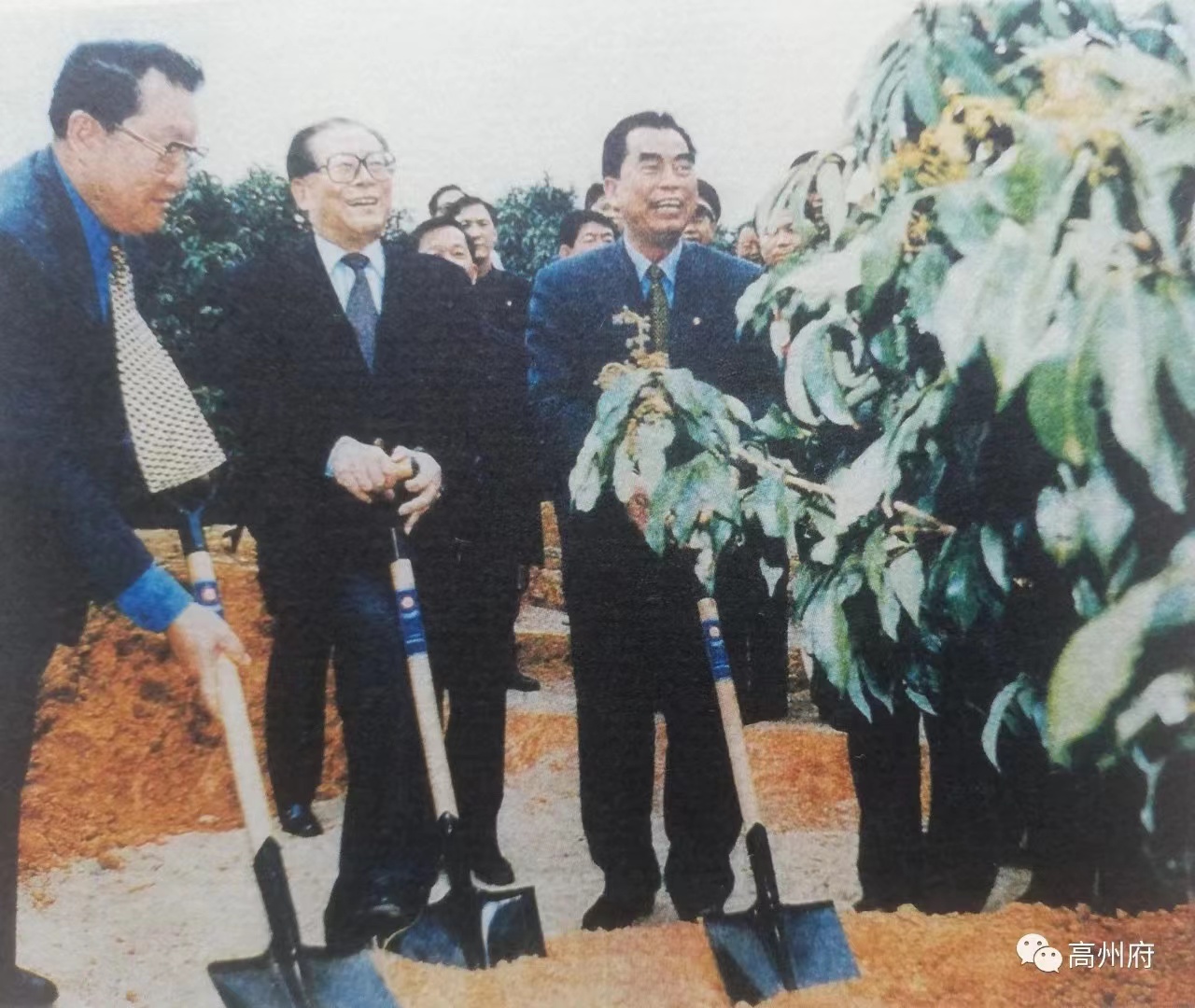 开元网站登录入口电保-中国荔枝博物馆智慧用电改造